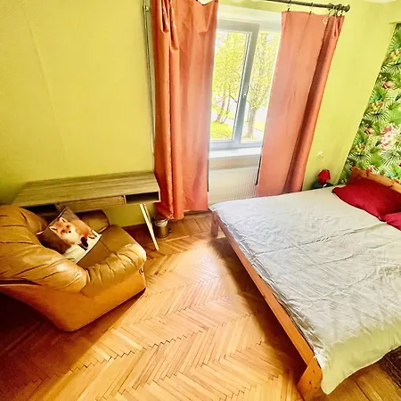 3 In Stroomi Area Apartamento *